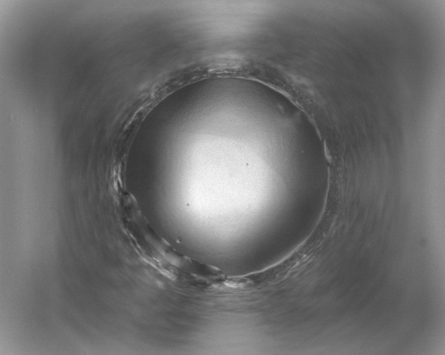 X0000060561445200511171553