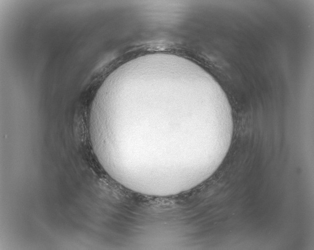 X0000060561446200511171553