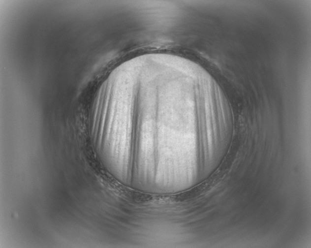 X0000060561447200511171553