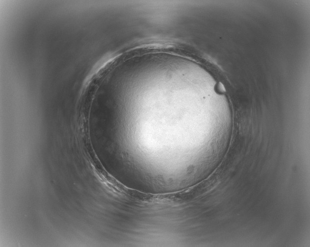 X0000060561448200511171553