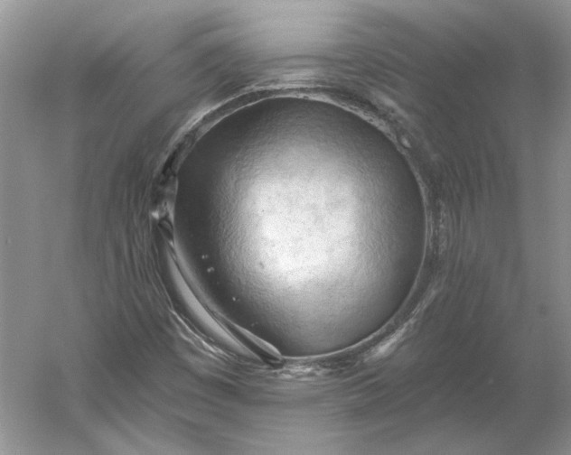 X0000060561449200511171553