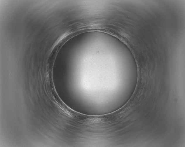 X0000060561450200511171552