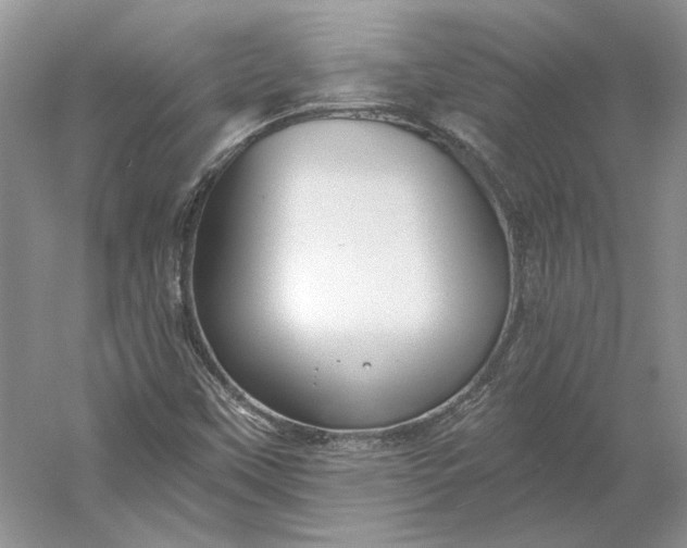 X0000060561451200511171552