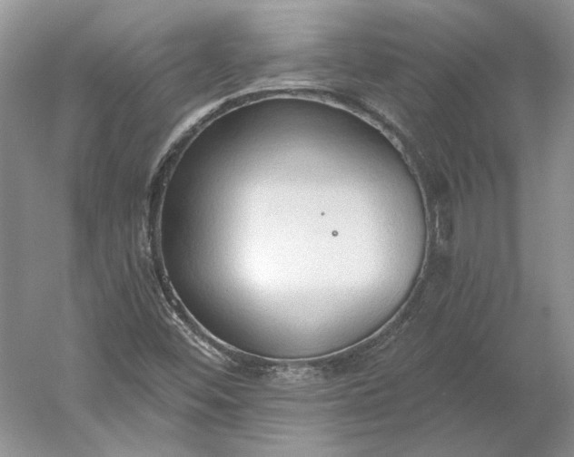 X0000060561452200511171552