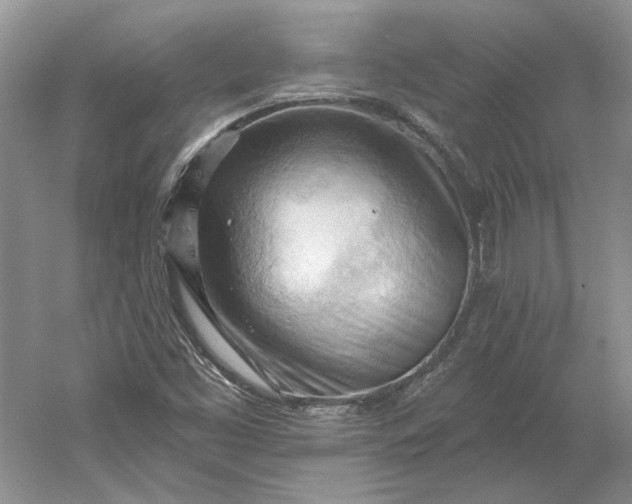 X0000060561453200511171552