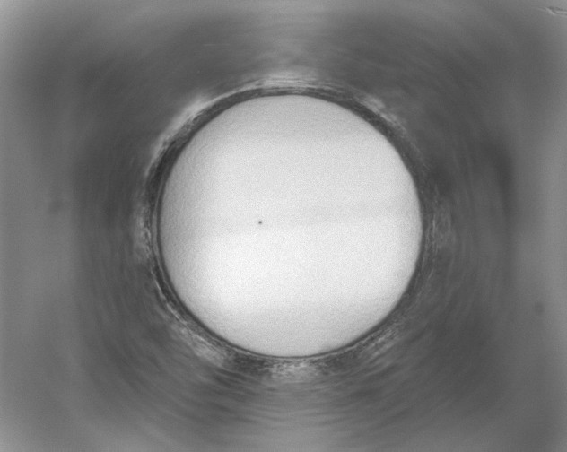 X0000060561454200511171552