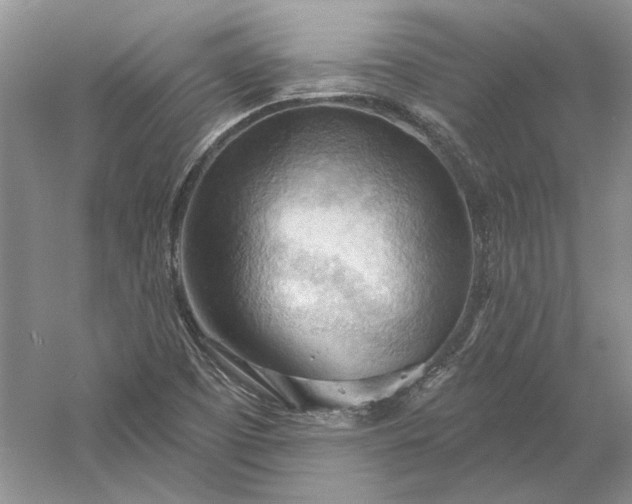 X0000060561457200511171552