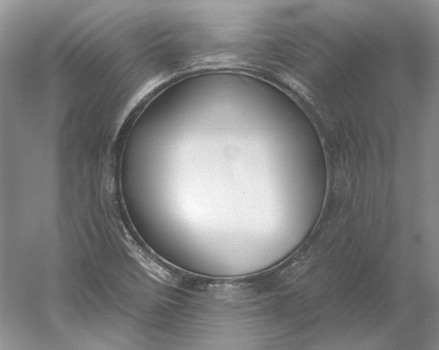 X0000060561458200511171552