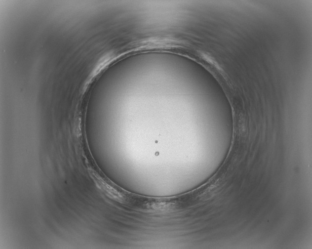 X0000060561459200511171552