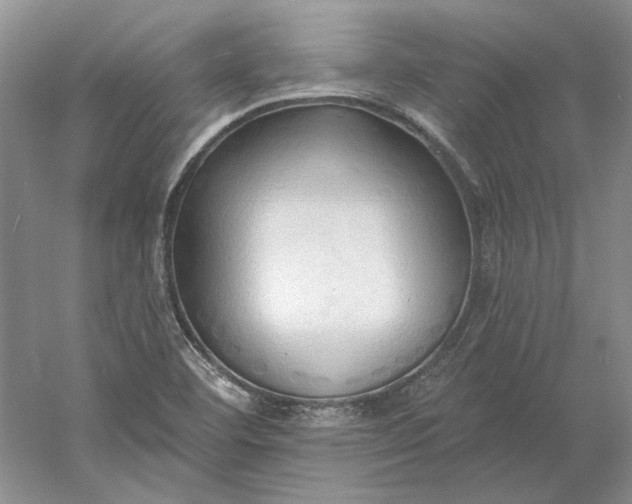 X0000060561460200511171552