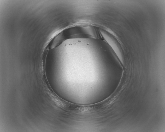 X0000060561461200511171552