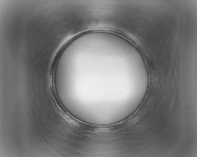 X0000060561462200511171552