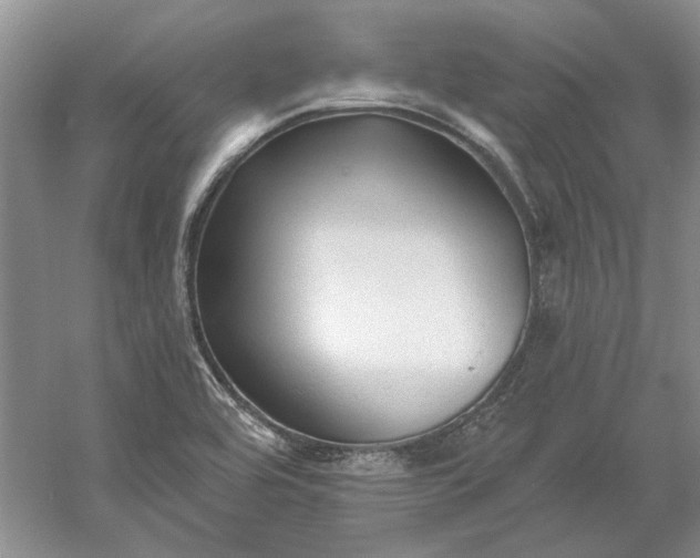 X0000060561464200511171552