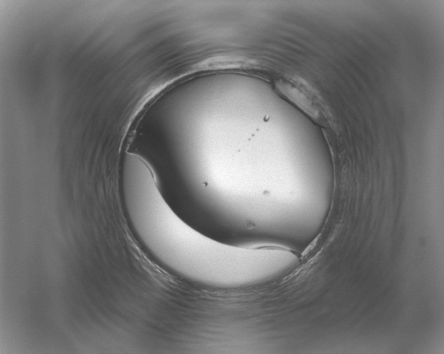 X0000060561465200511171552