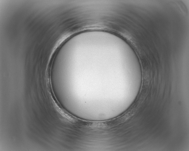 X0000060561466200511171552