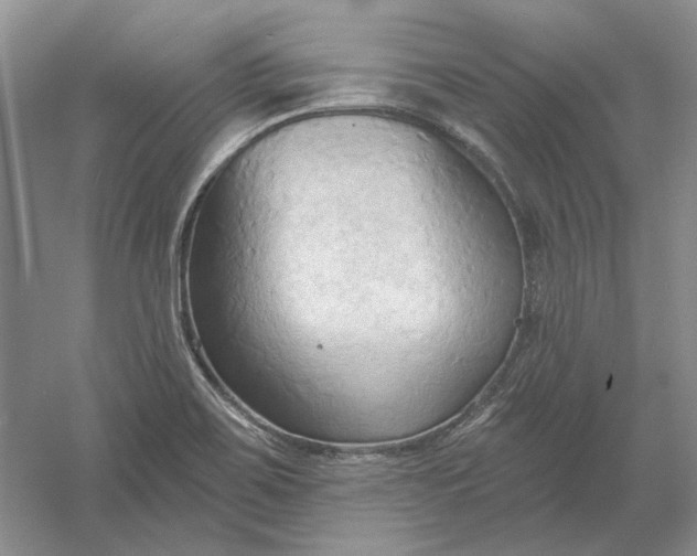 X0000060561467200511171552