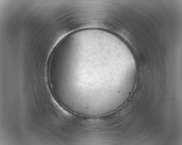 X0000060561468200511171552