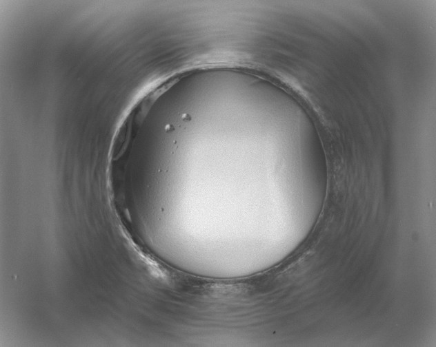 X0000060561469200511171552