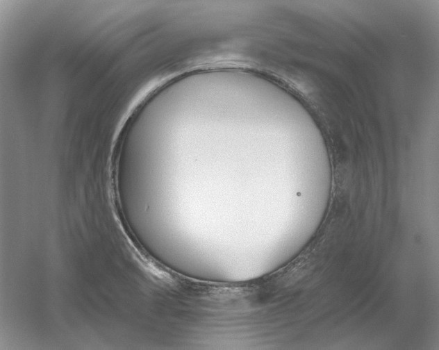 X0000060561470200511171552