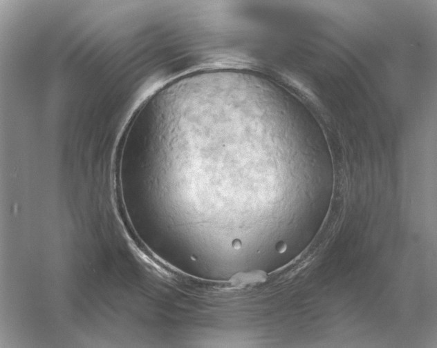 X0000060561471200511171552