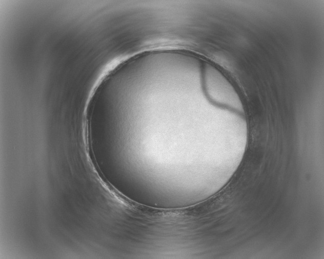 X0000060561472200511171552