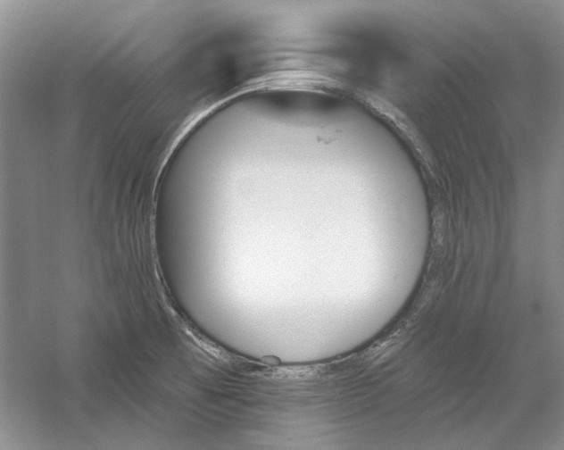 X0000060561473200511171552