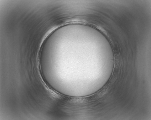 X0000060561474200511171552