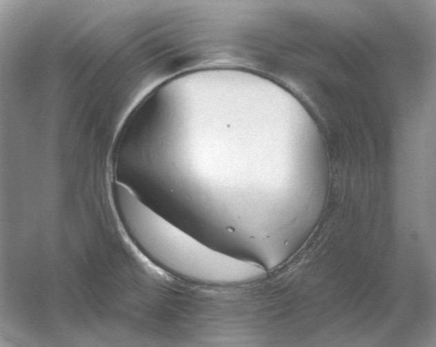 X0000060561476200511171552