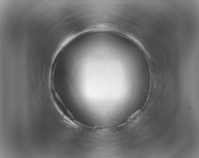 X0000060561477200511171552