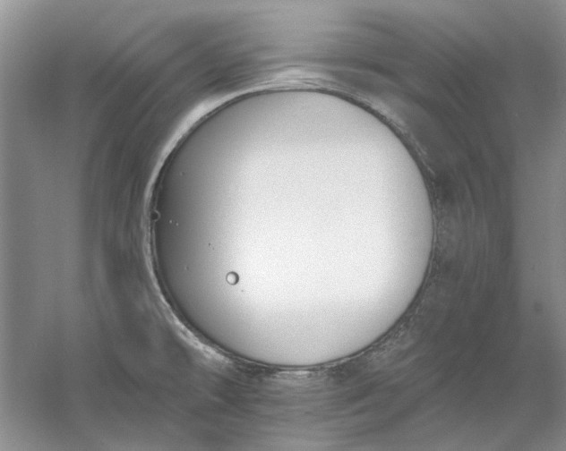 X0000060561478200511171552