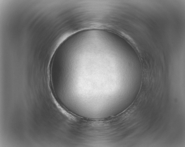 X0000060561479200511171552