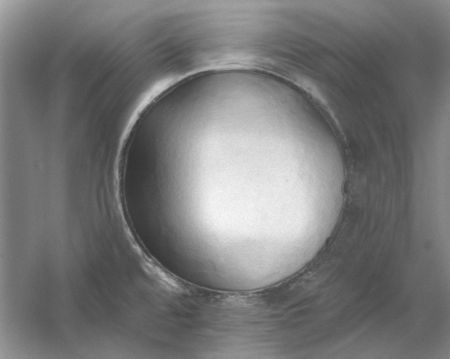 X0000060561480200511171552