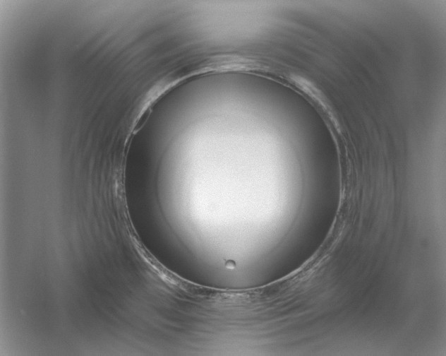 X0000060561481200511171552