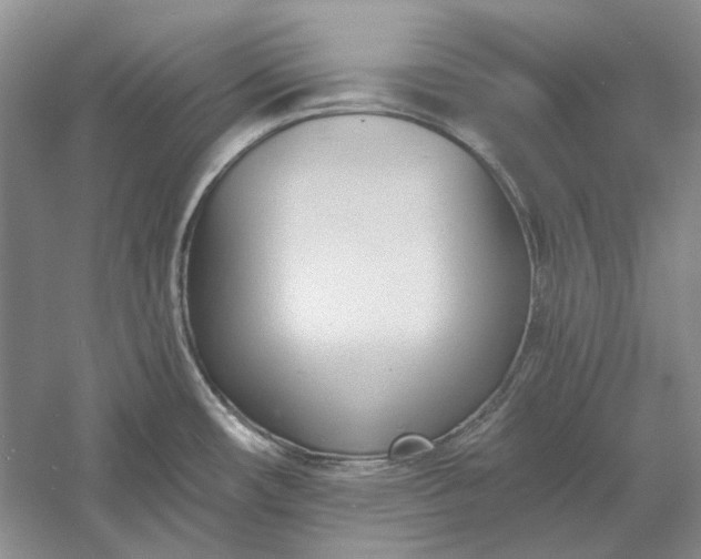 X0000060561482200511171552