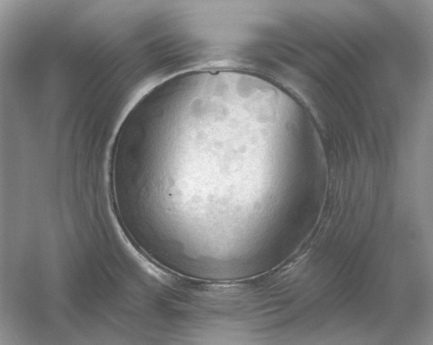 X0000060561483200511171552