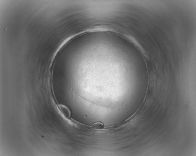 X0000060561484200511171552