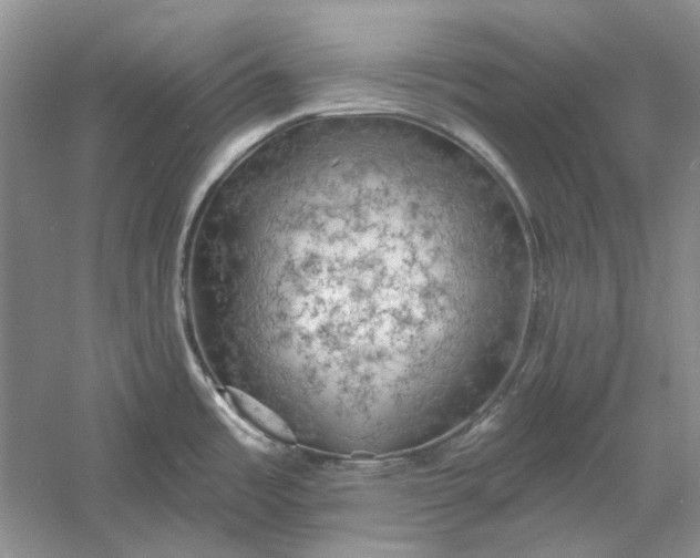 X0000060561485200511171552