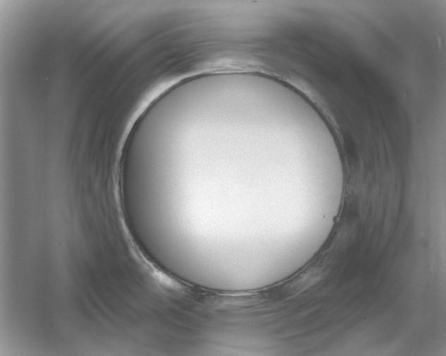 X0000060561486200511171552