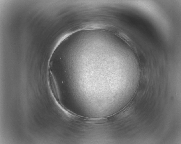 X0000060561487200511171552