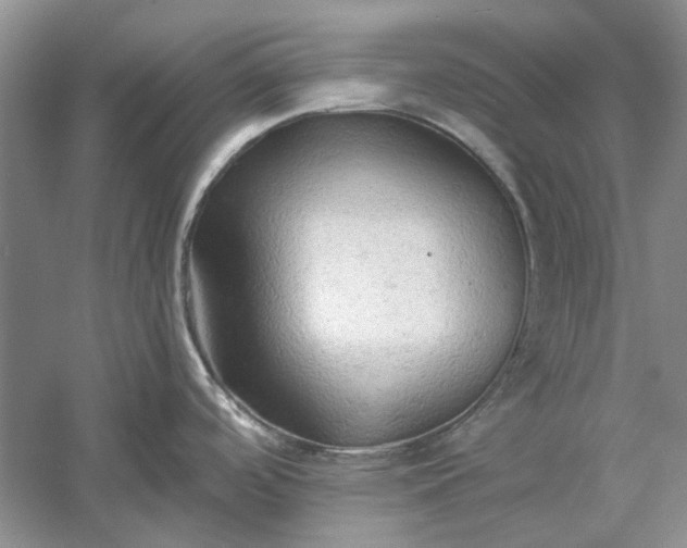 X0000060561488200511171552