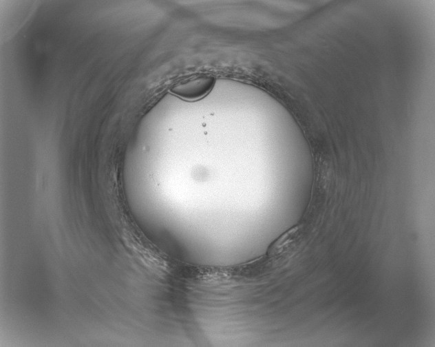 X0000060561489200511171551