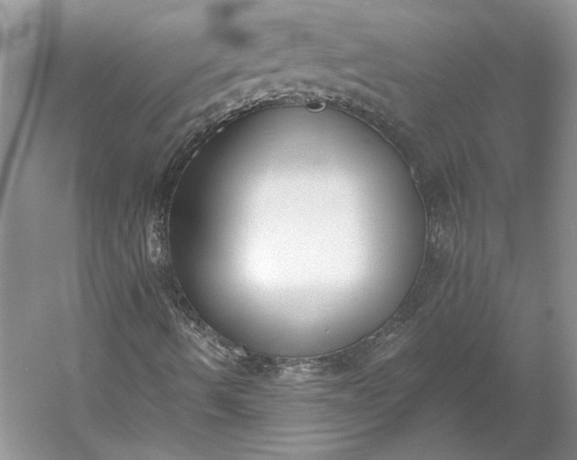 X0000060561490200511171551