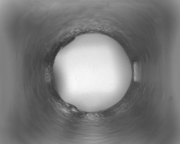 X0000060561491200511171551