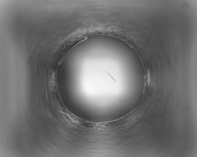 X0000060561492200511171551