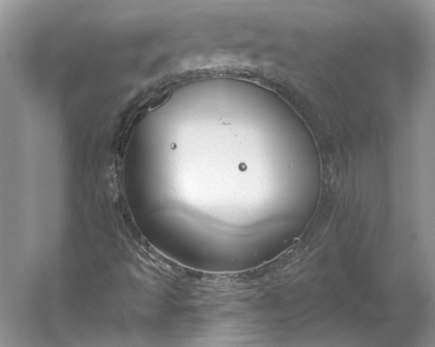 X0000060561493200511171551