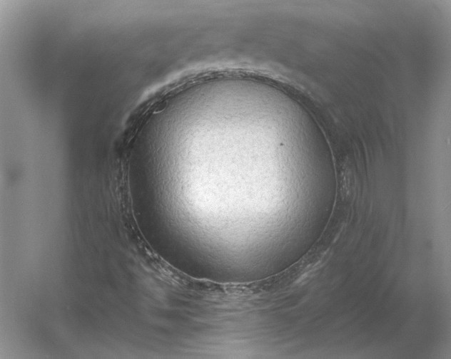 X0000060561494200511171551