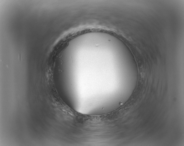 X0000060561495200511171551