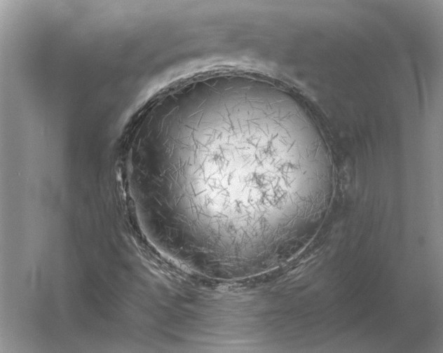 X0000060561496200511171551