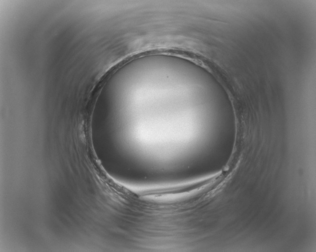 X0000060561497200511171551