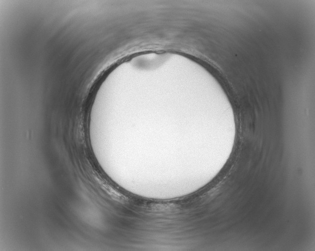 X0000060561498200511171551